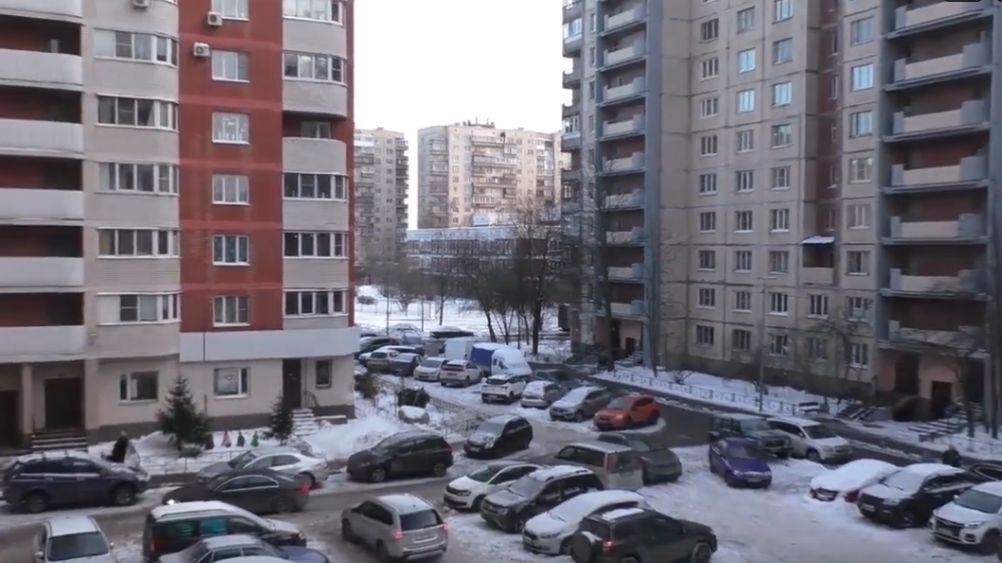 Петербург, вечер, зима. Я и собачка Пуля. 24.01.26.