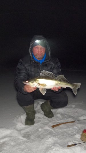 Ночь, мороз и судачок!