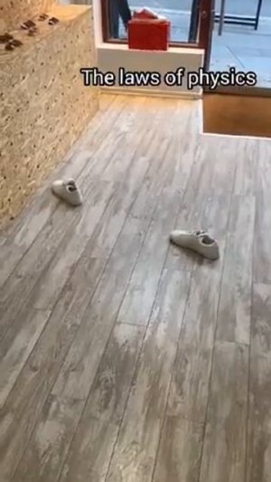 эксперимент с бутербродом #shorts