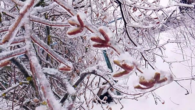 1000005017.mp4 смотреть онлайн