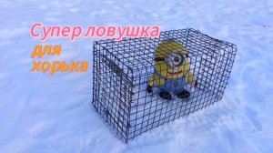 Как поймать хорька, самодельная ловушка