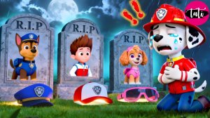 Щенячий патруль и Маршалл. Залипательное видео. Мультфильм для детей и малышей. Анимация 125