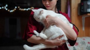 ВСТРЕЧАЕМ НОВЫЙ ГОД В ГЛУХОЙ ДЕРЕВНЕ. ЖИЗНЬ МОЛОДОЙ ПАРЫ НА УРАЛЕ.