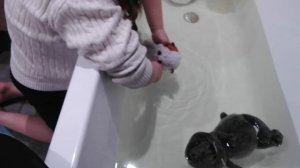 VID_20260125_171353.mp4