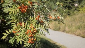 Северобайкальск и Нижнеангарск 2025