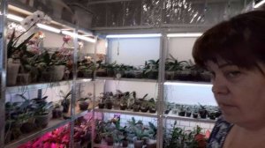 Жизнь в Деревне