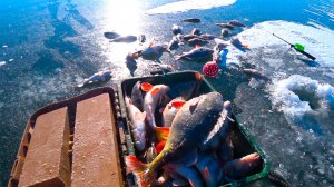 ОКУНЕВЫЙ БУМ !!! ЗИМНЯЯ РЫБАЛКА !!!