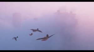 Миграция 2023