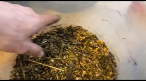 Технология создания органической почвы для рассады.