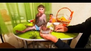 У Люси ПРИСТУП ЖАДНОСТИ, она даже Ангелине не дала чуть-чуть орешков!