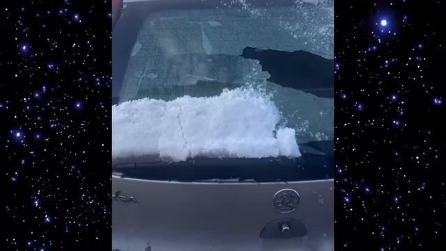 Самые смешные видео смотреть онлайн