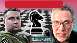 Для кого чистят поляну в Украине? М.Шевченко 25-01-2026