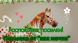 Посылка от "кск мечта"