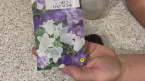 Карпатский колокольчик Посев 20.01.2026. Дубль 2