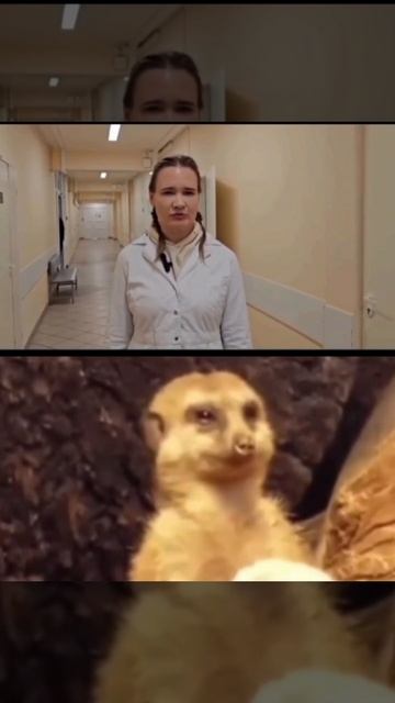 Внимание! Опасность диких животных. смотреть онлайн