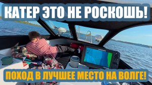 КАТЕР - ЭТО НЕ РОСКОШЬ! ПОХОД В ЛУЧШЕЕ МЕТО НА ВОЛГЕ!