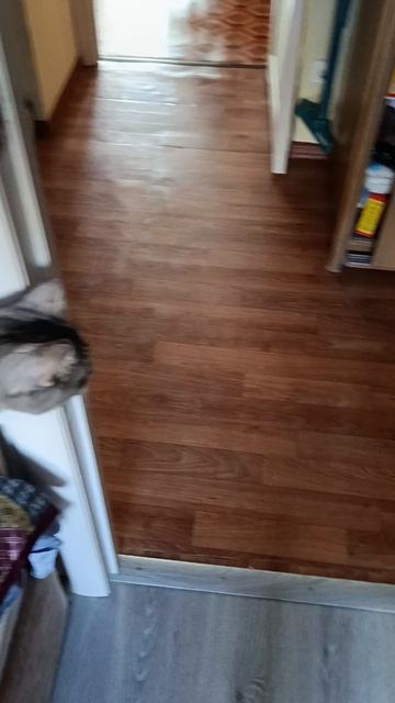 1000004534.mp4 смотреть онлайн