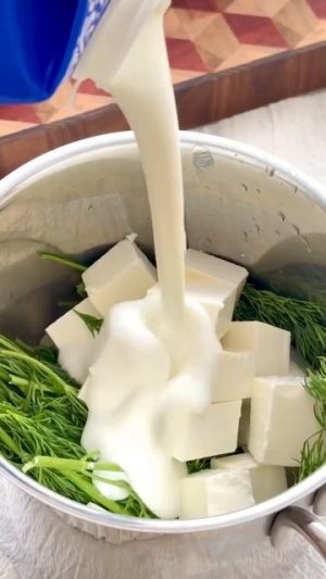 MOV_20260125_093225_088.mp4