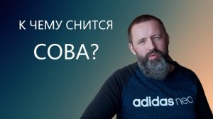 СОВА. К чему снится Сова.