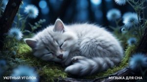 ВКЛЮЧИ МУЗЫКУ ДЛЯ СНА и усни за 5 МИНУТ / Успокаивающая музыка для души и расслабления
