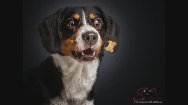 Знакомство с творчеством Christian Vieler смотреть онлайн