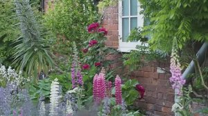 Что такое стиль «КОТТЕДЖНЫЙ САД» и как его создать