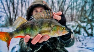 ПОЛГОДА СПУСТЯ НА ТАЁЖНУЮ РЕКУ. ТЯЖЁЛАЯ РЫБАЛКА В ГЛУХОЗИМЬЕ.