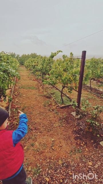 Вилла Пестряков 2025