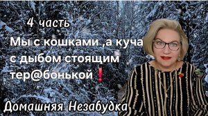 Мы с кошками, а куча с дыбом стоящим т@ребонькой❗️ (1)