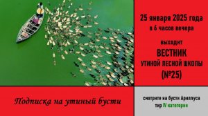 Подписка на утиный бусти