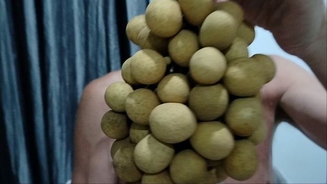 Фрукты Лонган-сладкие шарики! смотреть онлайн