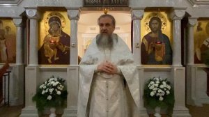 Притча о Закхее: что заставило богача залезть на дерево ради встречи с Христом? Отец Игорь Бачинин