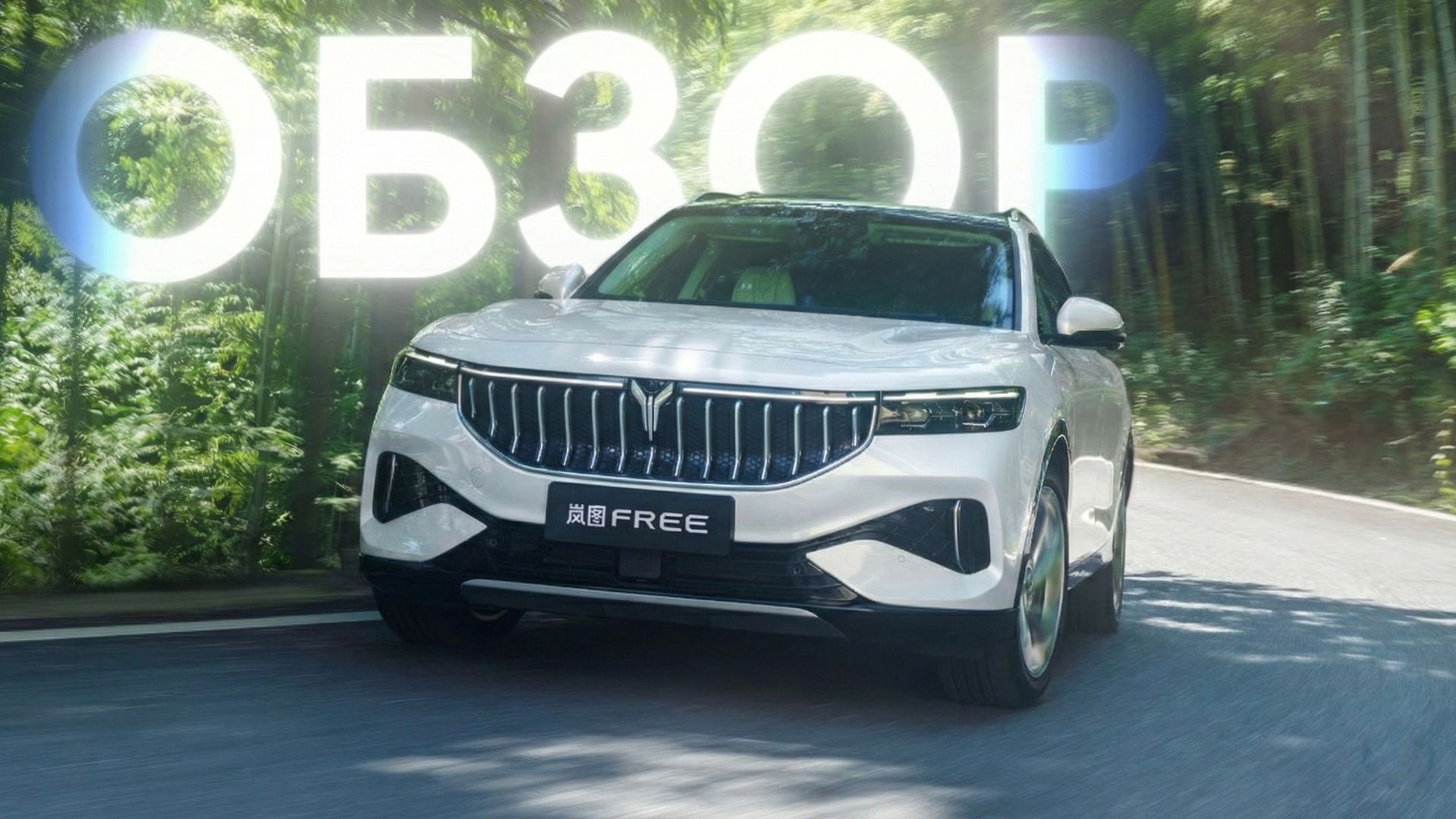 Обзор Voyah Free EV