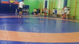 Вольная борьба