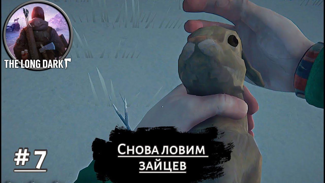 СНОВА ЛОВИМ ЗАЙЦЕВ ➤ The Long Dark #7