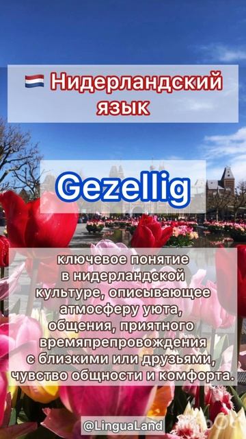 🇳🇱 Что значит «gezellig» на нидерландском языке 🇳🇱