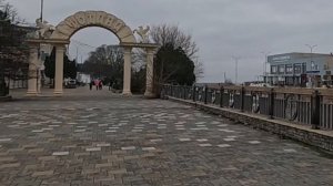 25.01.26.Кормим лебедей, уток, кошек. Спасли чонгу. Анапа