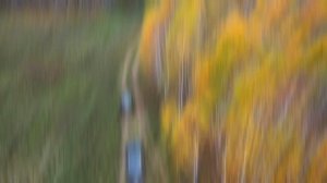 Осень Красноярский край 2025