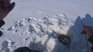 Зимняя рыбалка 22-23.01.2026