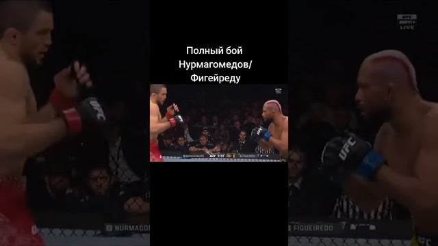 полный бой Умар Нурмагомедов против фигерейдо смотреть онлайн