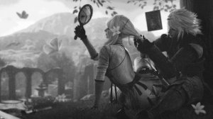 Path through the flowers