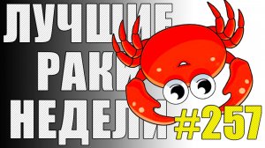 ЛРН выпуск №257 🤪 ТАКОГО Я ЕЩЁ НЕ ВИДЕЛ! [Лучшие Раки Недели]