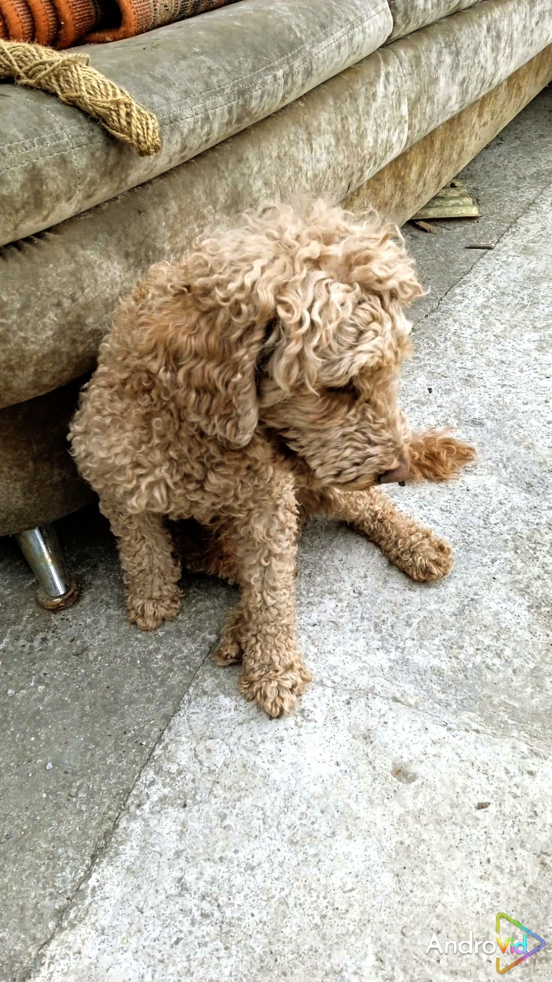 Их нет, но мы, помним!❤️ Мгновения жизни. 25-01-2026 смотреть онлайн