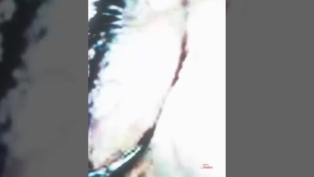 Новости о BTS 25.01.2026г смотреть онлайн