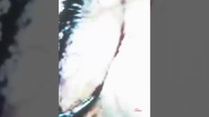 Новости о BTS 25.01.2026г