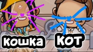 Я твой кот, а ты моя кошка!