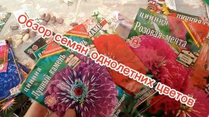 Обзор семян однолетних цветов