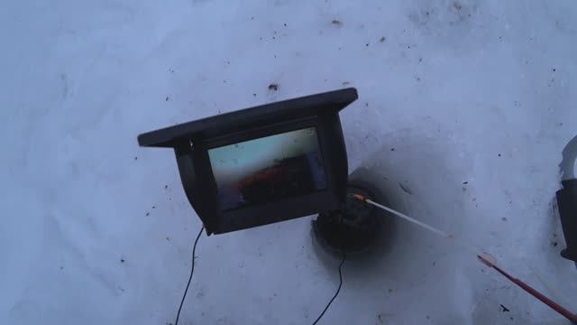 Разбурил плёс на РЕКЕ# Опустил КАМЕРУ и Ошалел сколько там ХАРИУСА# Рыбалка из ПОД ЛЬДА ЗИМОЙ !!! смотреть онлайн