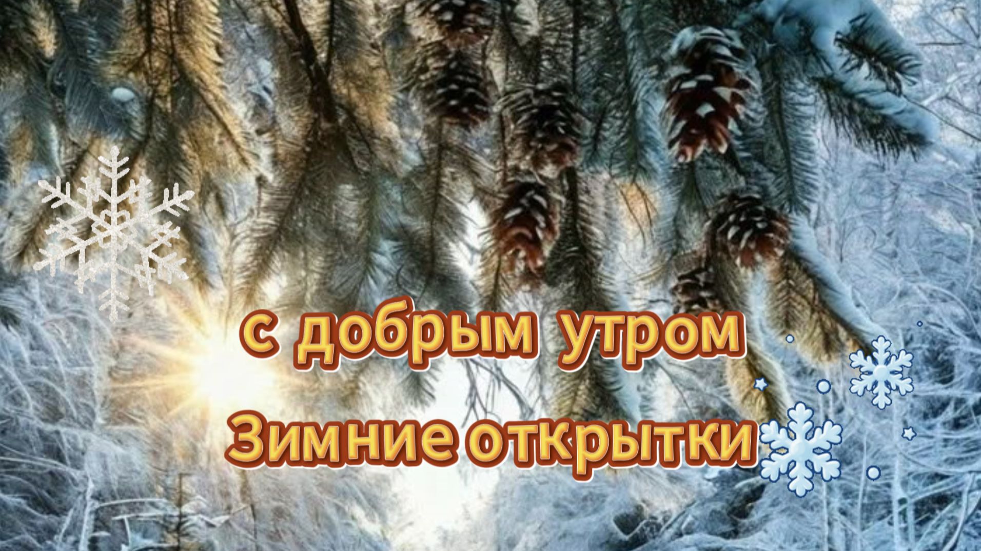 Доброе утро воскресенье ☀️ Хорошего дня!