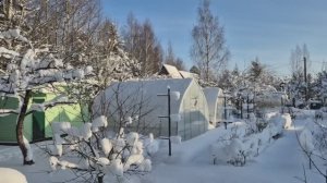 Татьянин день. Зимняя сказка на даче